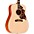 Gibson Hummingbird Faded Acoustic-Electric Guitar Natural