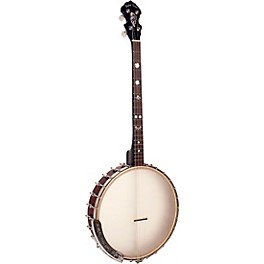 Gold Tone IT-19 Irish Tenor Banjo