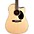 Jasmine JD-39 Dreadnought Acoustic-Electric Guitar Natural Jasmine JD-39 Dreadnought Acoustic-Electric Guitar Natural