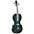 Barcus Berry Vibrato-AE Series Acoustic-Elect... Barcus Berry Vibrato-AE Series Acoustic-Electric Violin Metallic Green Burst