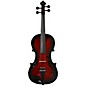 Barcus Berry Vibrato-AE Series Acoustic-Electric Violin Red Berry Burst thumbnail