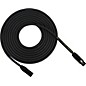 Rapco RoadHOG XLR Microphone Cable 25 ft. thumbnail