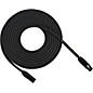 Rapco RoadHOG XLR Microphone Cable 20 ft. thumbnail