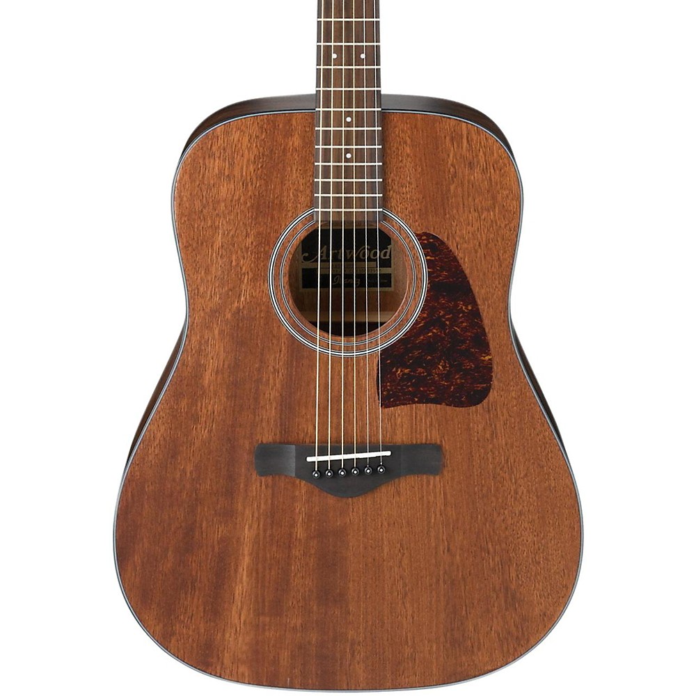 ibanez artwood acoustic