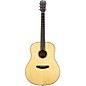 Breedlove Discovery Dreadnought Acoustic Guitar Natural