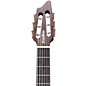 Open Box Breedlove Pursuit Nylon Acoustic-Electric Guitar Level 2 Natural 190839157683