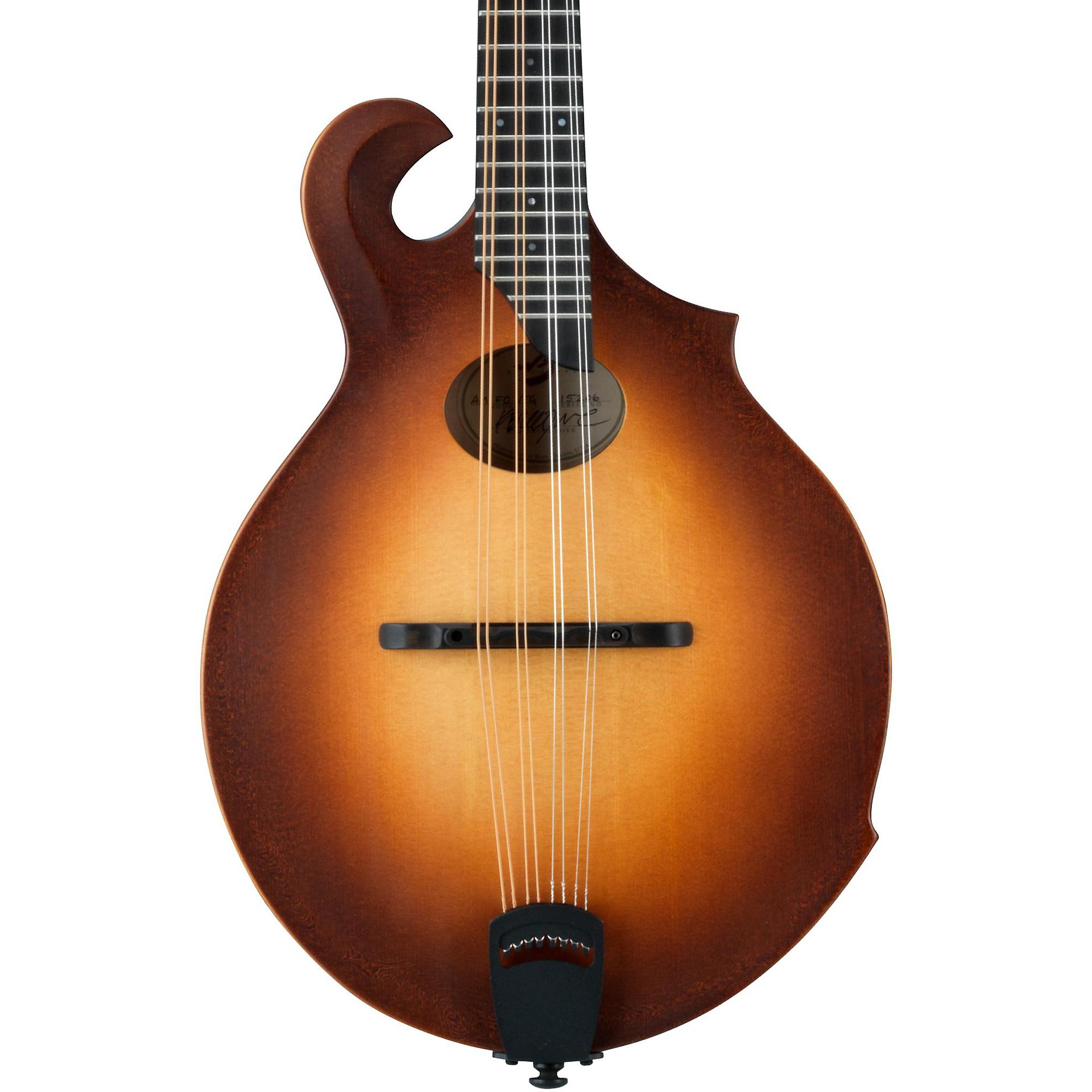 breedlove premier mandolin