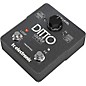 TC Electronic Ditto X2 Looper Effects Pedal