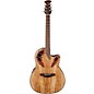 Ovation Celebrity Elite Plus Acoustic-Electric Guitar Spalted Maple Natural