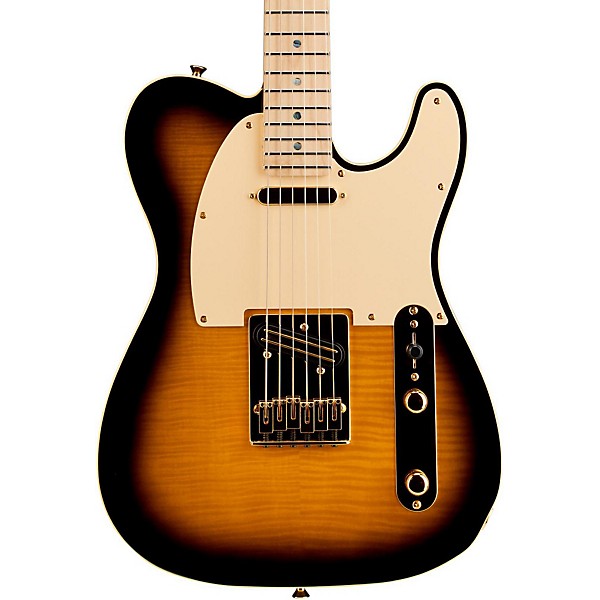 Open Box Fender Telecaster Richie Kotzen Solid Body Electric Guitar Level 2 Brown Sunburst 190839049193