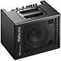 Open Box AER Alpha-Plus 50W Single Channel Acoustic 1x8 Combo Amp Level 1 thumbnail