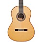 Open Box Cordoba C10 Parlor SP Classical Guitar Level 2  190839002334 thumbnail