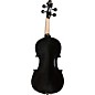 Open Box Bellafina Rainbow Series Black Violin Outfit Level 2 4/4 Size 190839164162