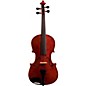 Open Box Bellafina Educator Series Viola Outfit Level 2 14 in. 194744115653 thumbnail