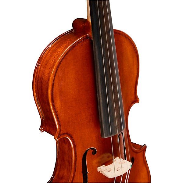 Open Box Bellafina Educator Series Violin Outfit Level 2 4/4 Size 190839881885