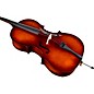 Open Box Bellafina Musicale Series Cello Outfit Level 2 4/4 Size 197881129637