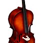 Bellafina Musicale Series Cello Outfit 1/2 Size