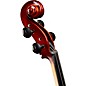 Bellafina Musicale Series Cello Outfit 1/4 Size