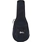 Luna Lightweight Case for Folk and Parlor Size Guitars thumbnail