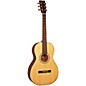 Open Box Recording King RP-10 0-Style Acoustic Guitar Level 2 Regular 888366032336