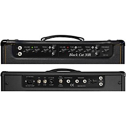 Open Box Bad Cat Black Cat 30w Guitar Head with Reverb Level 1