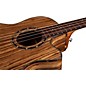 Dean EAB AE Acoustic-Electric Bass Guita Zebra Wood Rosewood Fingerboard