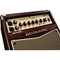 Open Box Acoustic A20 20W Acoustic Guitar Amplifier Level 1 Brown/Tan