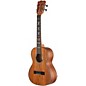 Open Box Kala Solid Acacia Tenor Ukulele Level 1