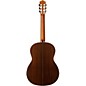 Open Box Cordoba C10 Crossover Nylon String Acoustic Guitar Level 2  197881124731