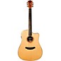 Open Box Cordoba Acero D11-CE Acoustic-Electric Guitar Level 2  888365510842