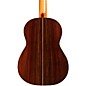Cordoba Rodriguez Master Series Nylon-String Classical Acoustic Guitar