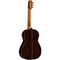 Cordoba Master Series Hauser Nylon String Acoustic Guitar