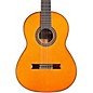 Open Box Cordoba C10 Parlor CD Nylon String Acoustic Guitar Level 1 Natural thumbnail