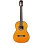 Cordoba C10 Parlor CD Nylon String Acoustic Guitar Natural
