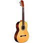 Cordoba C10 Parlor CD Nylon String Acoustic Guitar Natural