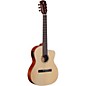 Alvarez RC26HCE Hybrid Classical Acoustic-Electric Guitar Natural
