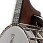 Deering Sierra 17-Fret Tenor Banjo