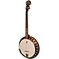 Deering Boston 19-Fret Tenor Banjo