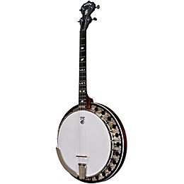 Open Box Deering Boston 17-Fret Tenor Banjo Level 2 Regular 190839630155