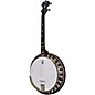 Open Box Deering Boston 17-Fret Tenor Banjo Level 2 Regular 190839630155