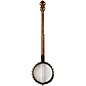 Vega Long Neck Banjo