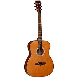 セミアコースティックギター　tanglewood ブリティッシュヴィンテージ セミアコースティックギター tanglewood ブリティッシュ