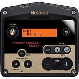 Roland TM-2 Drum Trigger module with 2 BT-1 Bar Trigger pads