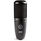 AKG P120 Project Studio Condenser Microphone thumbnail