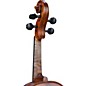 Bellafina Roma Select Series Viola Outfit 15.5 in.