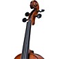 Bellafina Roma Select Series Viola Outfit 16 in.