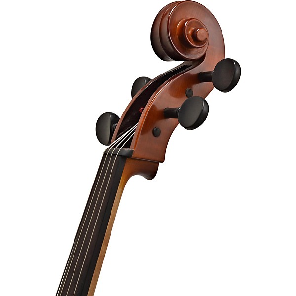 Open Box Bellafina Overture Series Cello Outfit Level 2 4/4 Size 190839578495