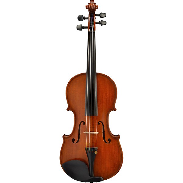 Open Box Bellafina Roma Select Series Violin Outfit Level 2 4/4 Size 190839691170