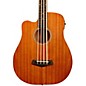 Gold Tone 25" Scale Left-Handed Fretless Acoustic-Electric MicroBass Natural thumbnail