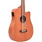 Gold Tone 25" Scale Fretless Acoustic-Electric MicroBass Natural thumbnail